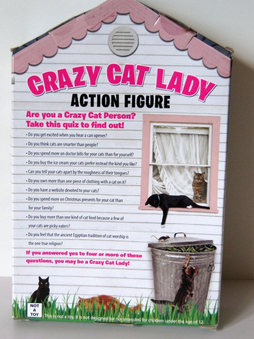 Crazy Cat Lady Action Figure Archie McPhee Cat Lover Funny Gift Set NEW +6 cats - Picture 3 of 3